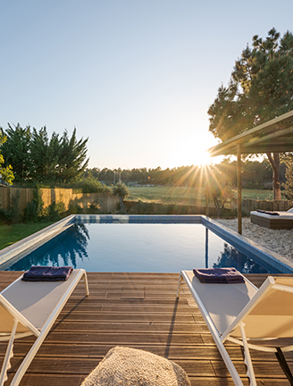 gestion de visados relocation marbella expertos legales